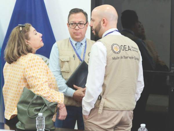Los observadores internacionales y locales acreditados ya se encuentran en el país para trasladarse a las principales ciudades del territorio nacional donde realizarán su labor para al final emitir sus respectivos informes. Los observadores internacionales y locales acreditados ya se encuentran en el país para trasladarse a las principales ciudades del territorio nacional donde realizarán su labor para al final emitir sus respectivos informes.