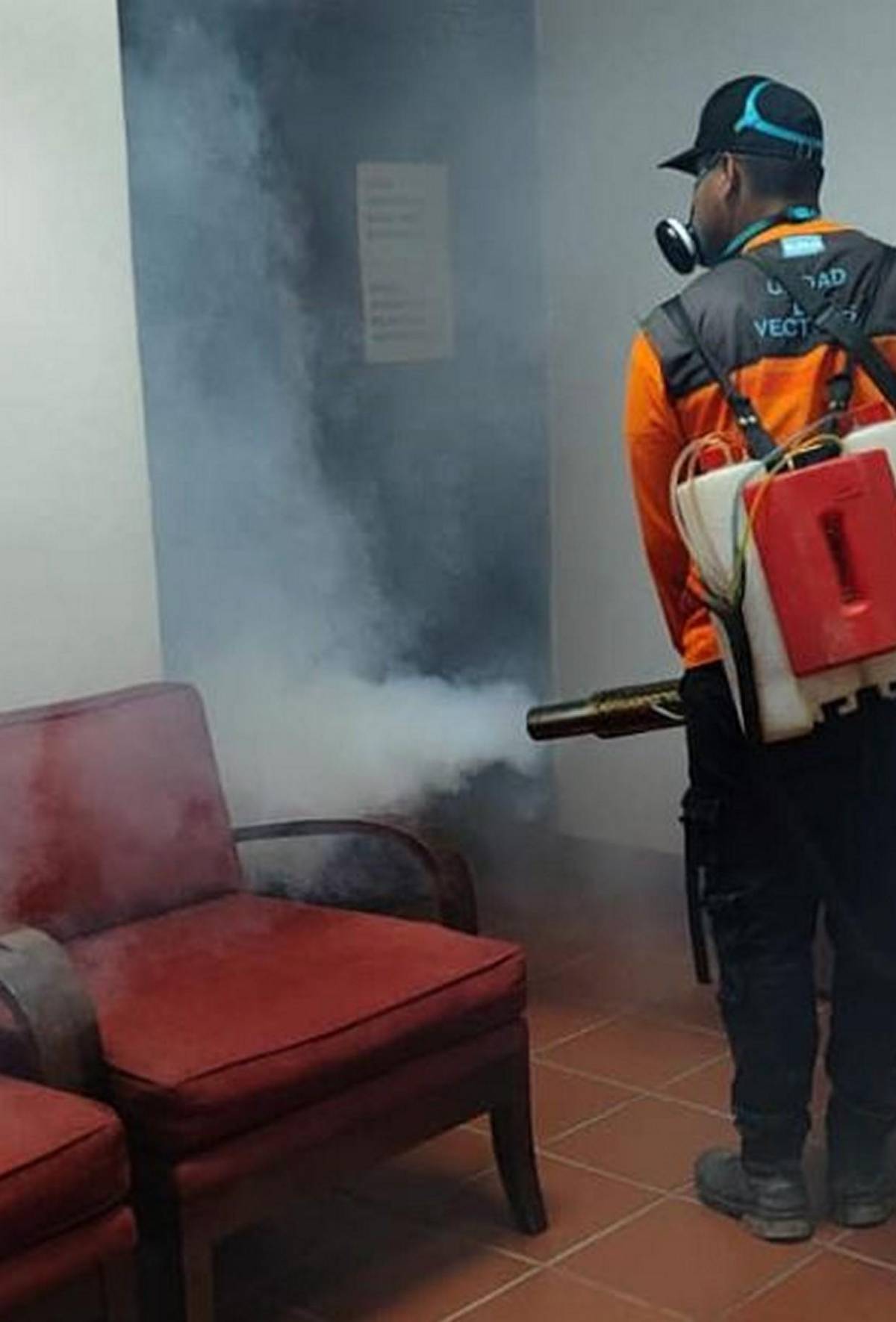 Fumigan la Basílica de Suyapa y alrededores previo a la Alborada Fumigan la Basílica de Suyapa y alrededores previo a la Alborada