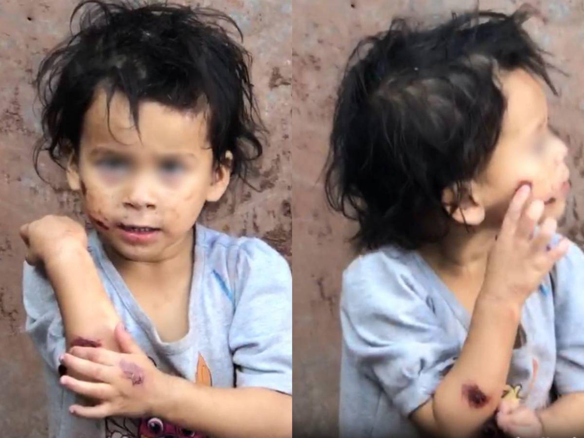 ¿Por qué quedó en libertad Dulce, la madre que golpeaba a sus dos hijas? Esto se sabe ¿Por qué quedó en libertad Dulce, la madre que golpeaba a sus dos hijas? Esto se sabe