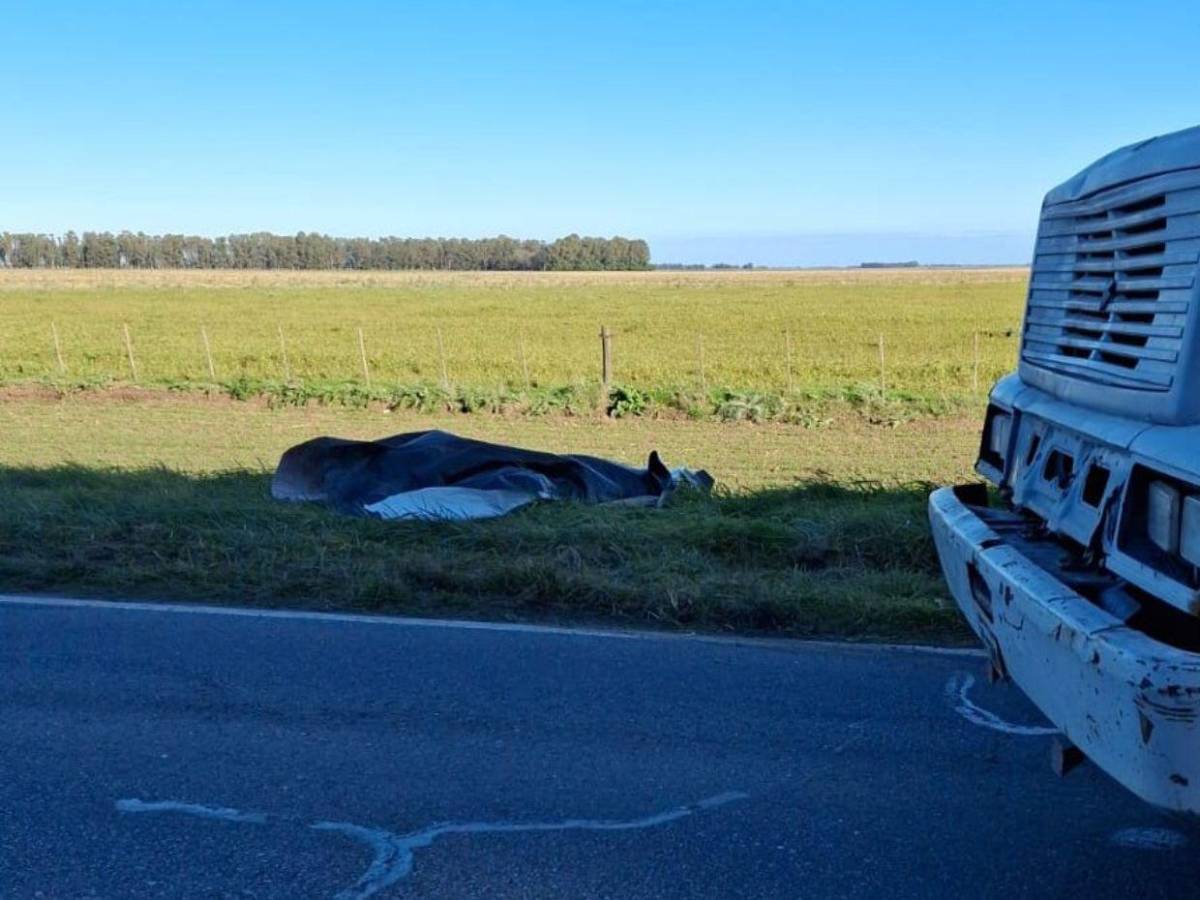 Hombre mata a su esposa e hijos y luego se quita la vida en Argentina Hombre mata a su esposa e hijos y luego se quita la vida en Argentina
