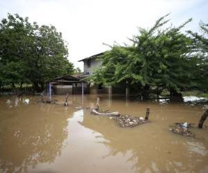 El municipio de Alianza, Valle, es uno de los que reporta más afectados debido a las inundaciones. El río Goascarán se desbordó, dejando damnificados, evacuados y pérdidas materiales.