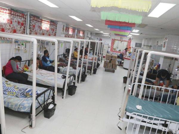 Los menores de edad son los más vulnerables a enfermarse gravemente por el dengue, según indican las cifras. La OPS advirtió sobre el aumento de casos.
