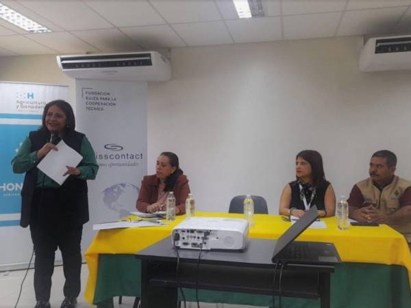 Laura Suazo, titular de la Secretaría de Agricultura y Ganadería (SAG), explicó la forma en que se apoyará a los productores rurales de los departamentos de Francisco Morazán, Choluteca y El Paraíso.