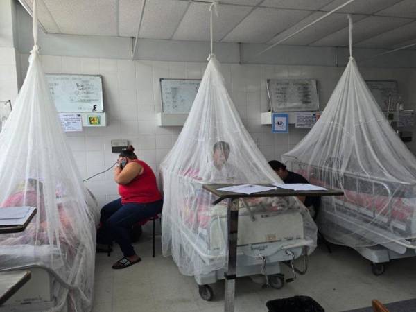 Las autoridades sanitarias priorizaran a la población que se encuentre entre los 6 y 16 años, ya que son los más vulnerables al contagio.